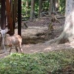 phoca_thumb_m_vp 2.den 29 Fotogalerie